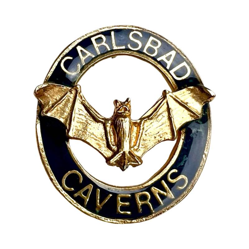 Vintage Carlsbad Caverns National Park Anstecknadel - Guadalupe Mountains New Mexico Ort Pin Abzeichen von PinsAndSins