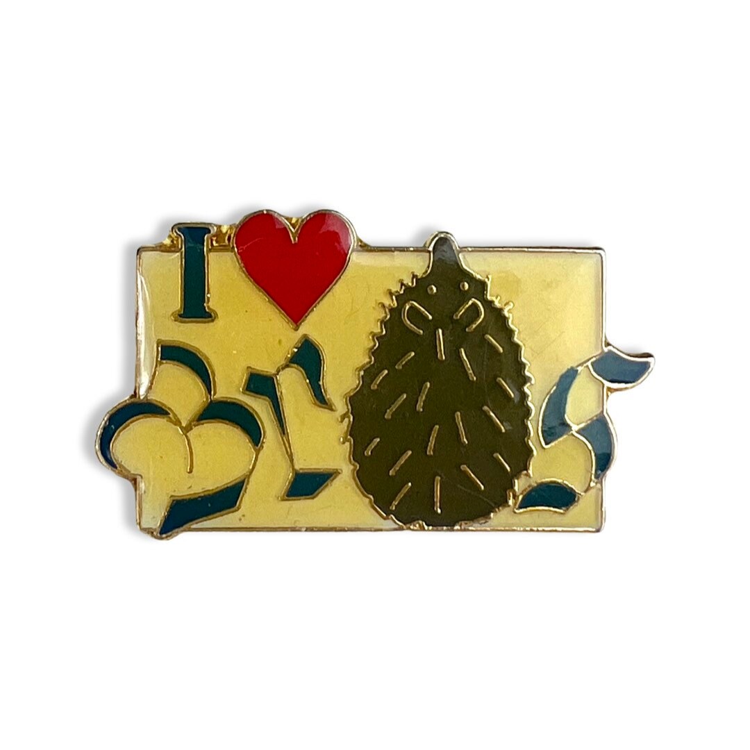 Vintage I Love Bros Anstecker 80Er/90Er Jahre Boyband Brossette Badge von PinsAndSins