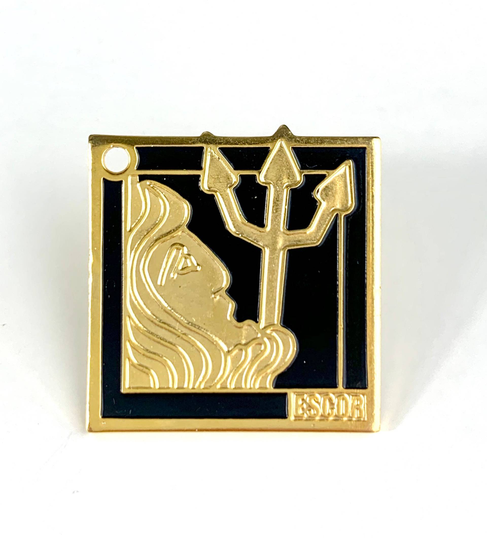 Vintage Sternzeichen Wassermann Sternzeichen Pin von PinsAndSins