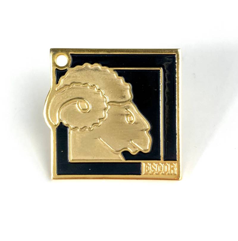 Vintage Widder Sternzeichen Pin Gold Ton Astrologie Schmuck Vintage Widder Sternzeichen Pin Gold Ton Astrologie Schmuck von PinsAndSins