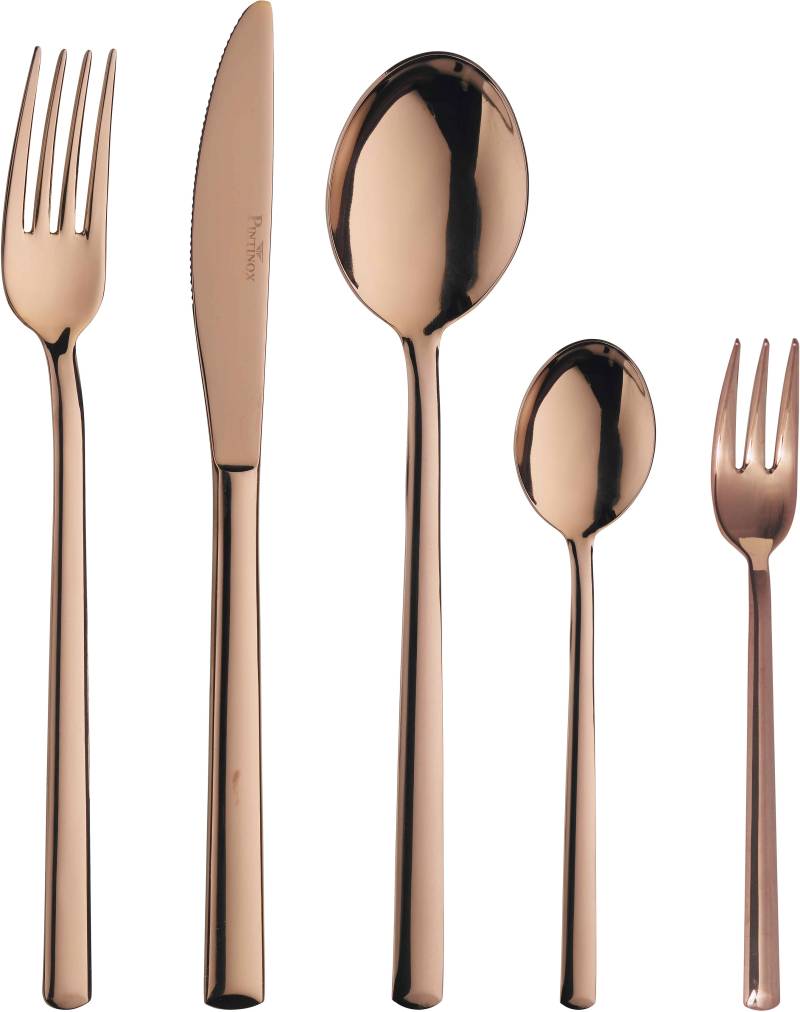 PINTINOX Besteck-Set "Synthesis Treasure Bronze" Optik Bronze PVD Beschichtung von Pintinox