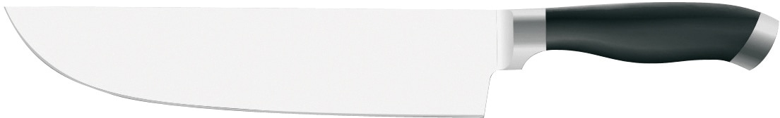 PINTINOX Fleischmesser "Coltelli Professional" Edelstahl/Kunststoff, spülmaschinengeeignet von Pintinox