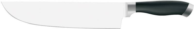PINTINOX Fleischmesser "Coltelli Professional" Edelstahl/Kunststoff, spülmaschinengeeignet von Pintinox