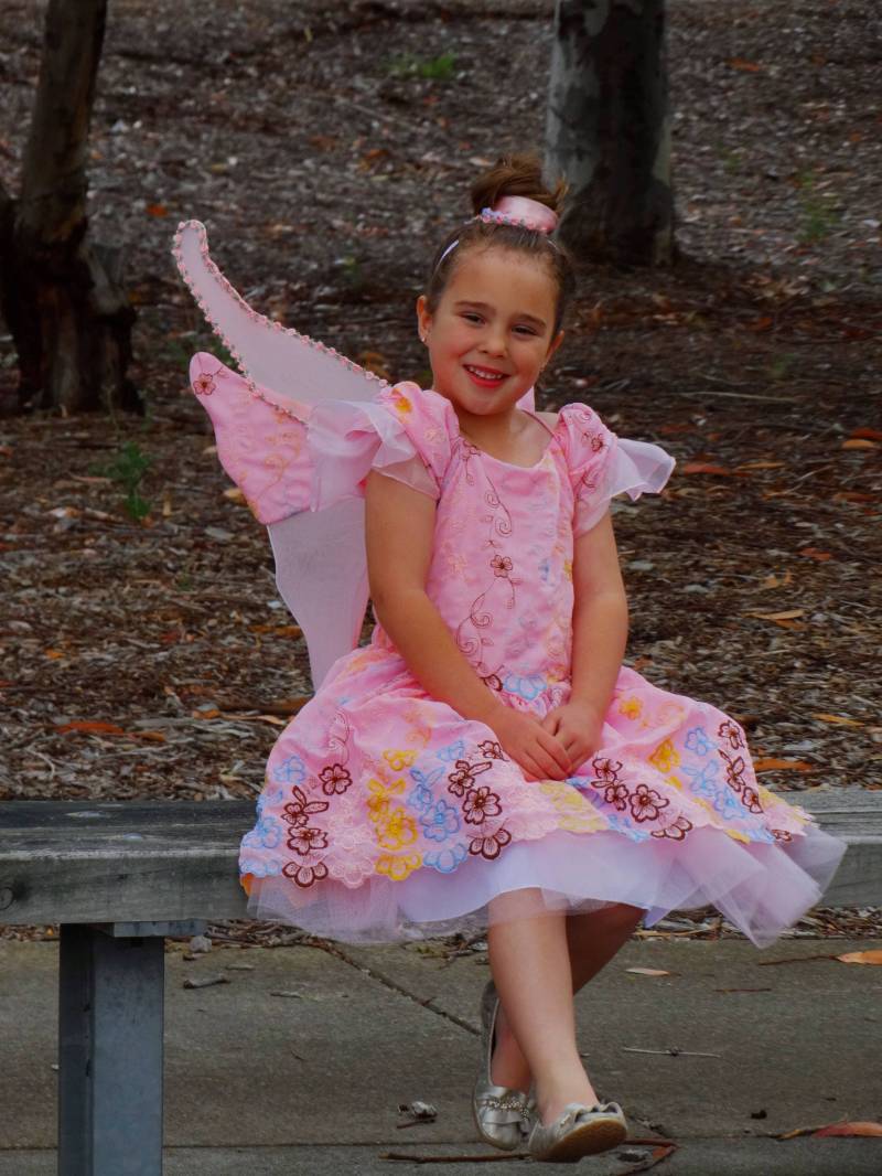 Candy Pink Feenkleid Candy Pink Feenkleid von PipsPhotographyProps