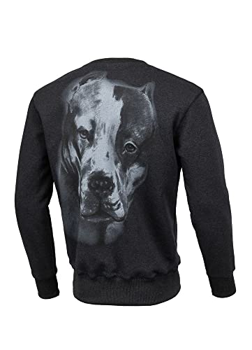 Pit Bull West Coast - Crewneck SAN DIEGO II Charcoal - Charcoal - XXL von Pitbull