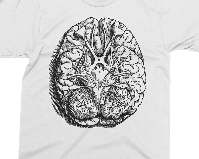 Basis Des Gehirns - Andreas Vesalius T-Shirt, Geschenk Für Medizinstudent, Arzt, Anatomie-Shirt, 16 von PixieApparelShop