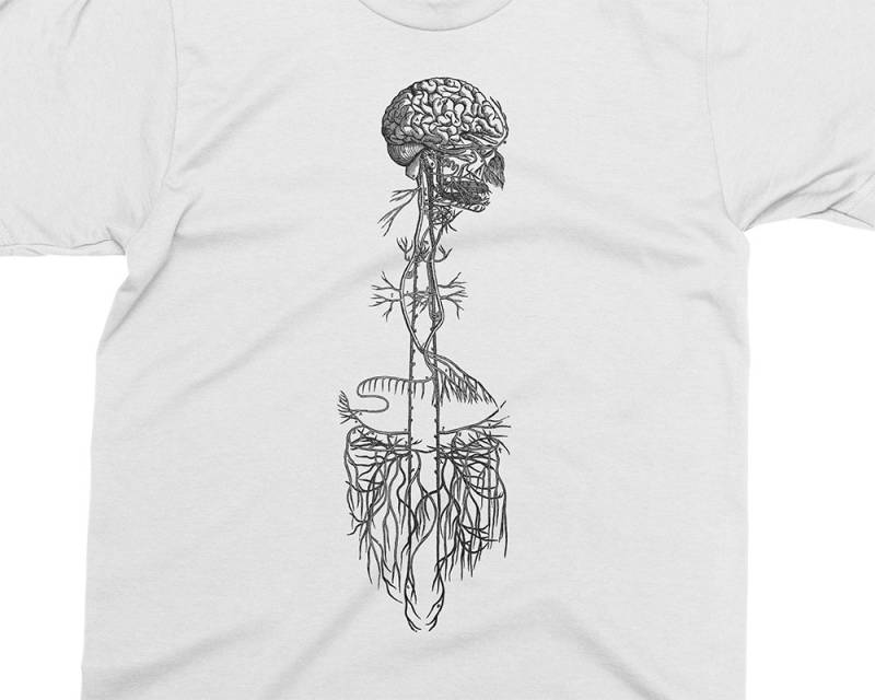 Gehirn Und Kleinhirn - Andreas Vesalius T-Shirt, Geschenk Für Medizinstudent, Arzt, Anatomie Shirt, 16 von PixieApparelShop