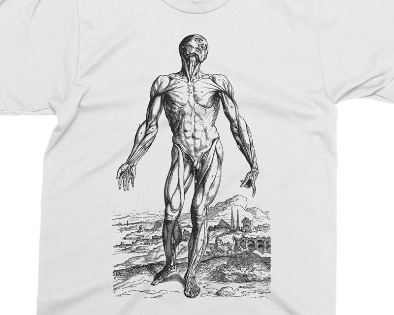 Hautloser Mann - Muskeln 01 Andreas Vesalius T-Shirt, Geschenk Für Medizinstudent, Arzt, Anatomie Shirt, 16 von PixieApparelShop