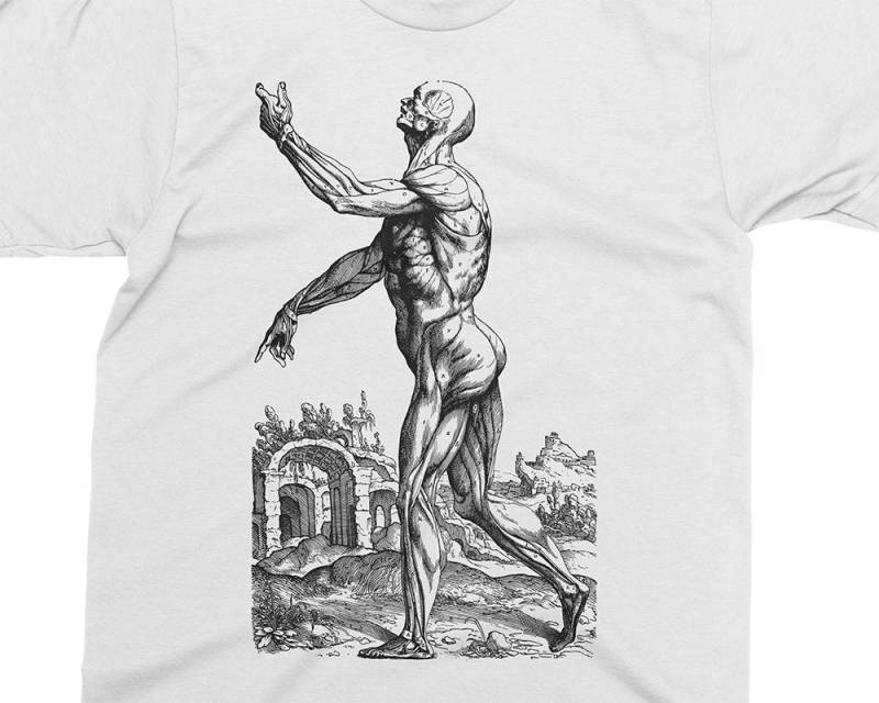 Hautloser Mann - Muskeln 02 Andreas Vesalius T-Shirt, Geschenk Für Medizinstudent, Arzt, Anatomie Shirt, 16 von PixieApparelShop