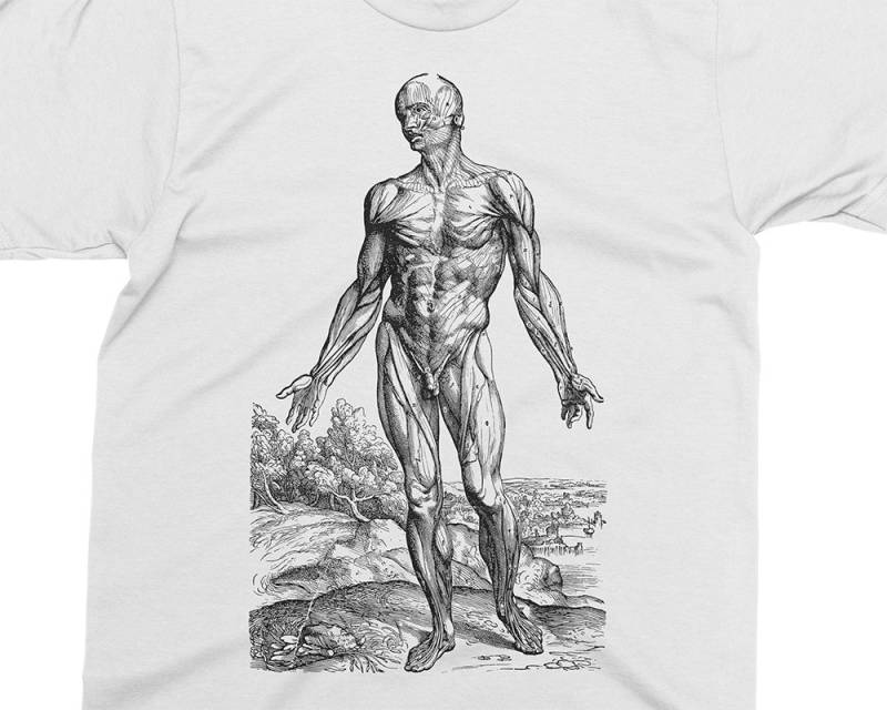 Hautloser Mann - Muskeln 03 Andreas Vesalius T-Shirt, Geschenk Für Medizinstudent, Arzt, Anatomie Shirt, 16 von PixieApparelShop