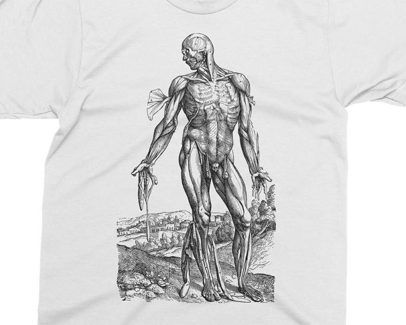 Hautloser Mann - Muskeln 04 Andreas Vesalius T-Shirt, Geschenk Für Medizinstudent, Arzt, Anatomie Shirt, 16 von PixieApparelShop