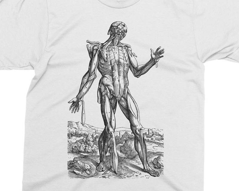 Hautloser Mann - Muskeln 05 Andreas Vesalius T-Shirt, Geschenk Für Medizinstudent, Arzt, Anatomie Shirt, 16 von PixieApparelShop
