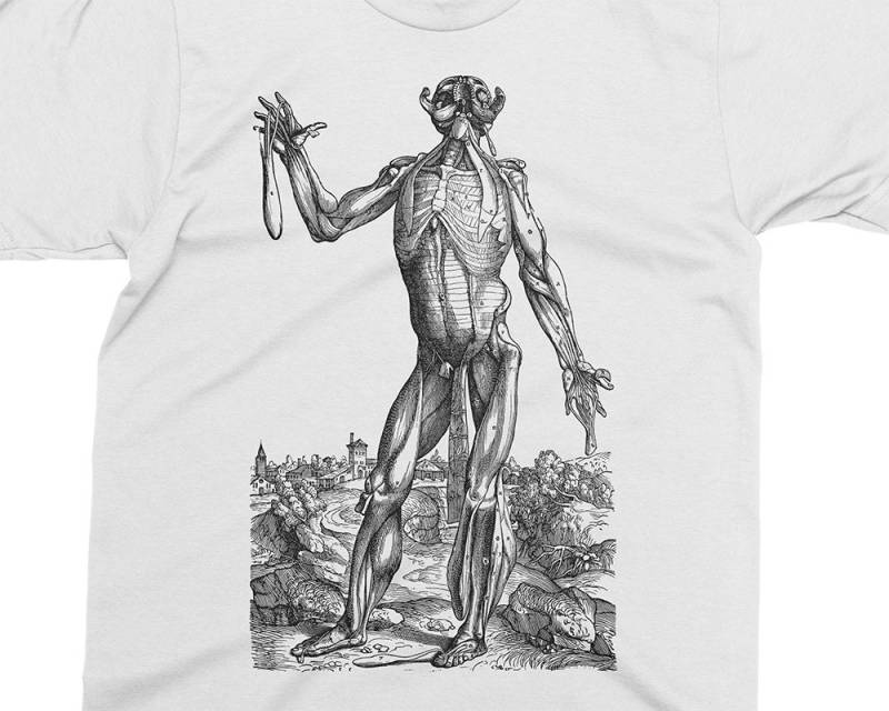 Hautloser Mann - Muskeln 06 Andreas Vesalius T-Shirt, Geschenk Für Medizinstudent, Arzt, Anatomie Shirt, 16 von PixieApparelShop