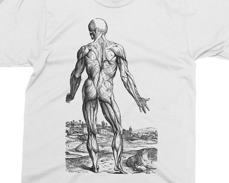Hautloser Mann - Muskeln 09 Andreas Vesalius T-Shirt, Geschenk Für Medizinstudent, Arzt, Anatomie Shirt, 16 von PixieApparelShop