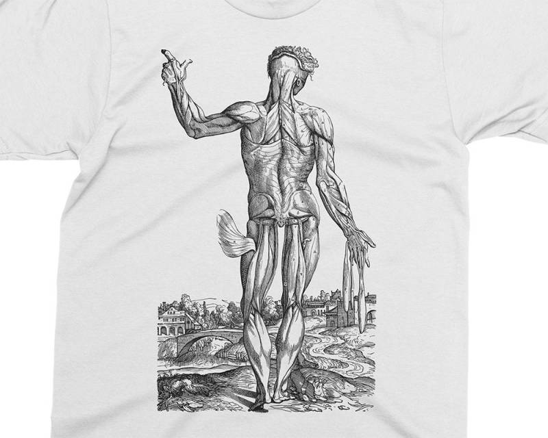 Hautloser Mann - Muskeln 10 Andreas Vesalius T-Shirt, Geschenk Für Medizinstudent, Arzt, Anatomie Shirt, 16 von PixieApparelShop