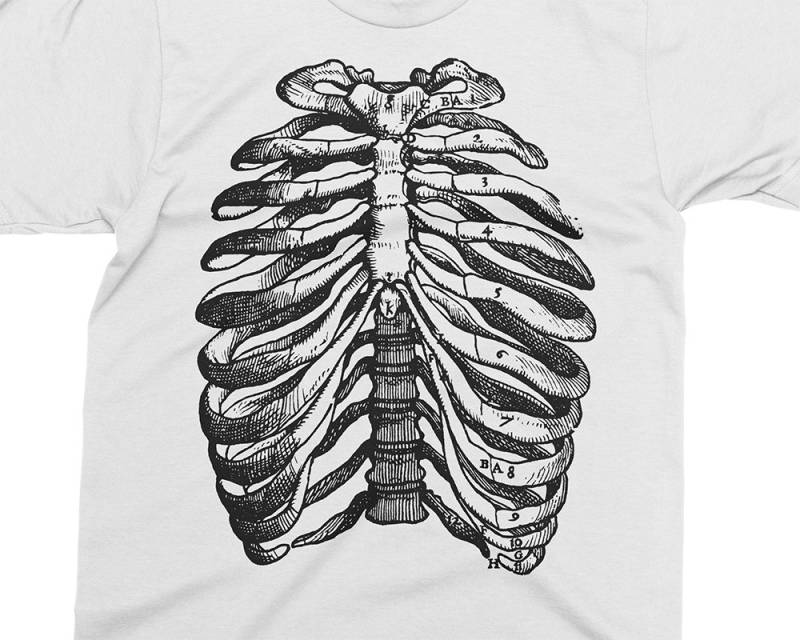 Human Ribs | Rib Cage - Andreas Vesalius T-Shirt, Geschenk Für Medizinstudent, Arzt, Anatomie Shirt, 16 von PixieApparelShop