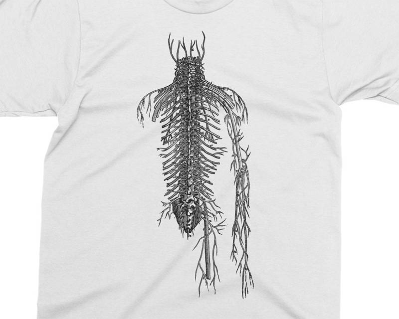 Spinal Nerves 2 - Andreas Vesalius T-Shirt, Geschenk Für Medizinstudent, Arzt, Anatomie Shirt, 16 von PixieApparelShop