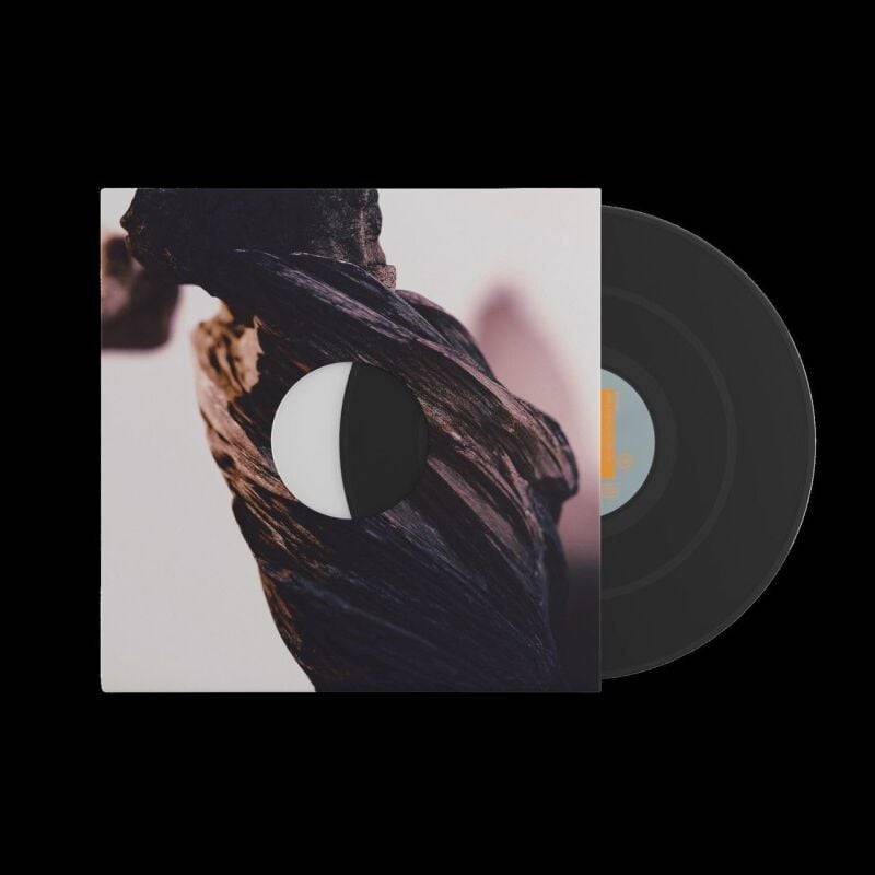 The night the zombies came von Pixies - LP (Standard) von Pixies