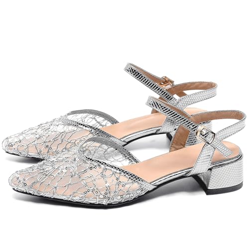 Pixoecuty Silberne flache Damen-Sandalen aus Netzstoff, Absatz, breiter Absatz, Glitzer, spitzer Zehenbereich, silber, 38.5 EU von Pixoecuty