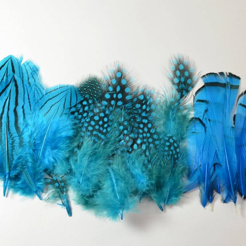 Türkis-Mix - Natürlicher Silberfasan, Guinea-Polkadot, Lady Amherst Hochwertiges Millinery-Bastelzubehör Türkis-Mix - Natürlicher Silberfasan, Guinea-Polkadot, Lady Amherst Hochwertiges Millinery-Bastelzubehör von PlumuleFeather