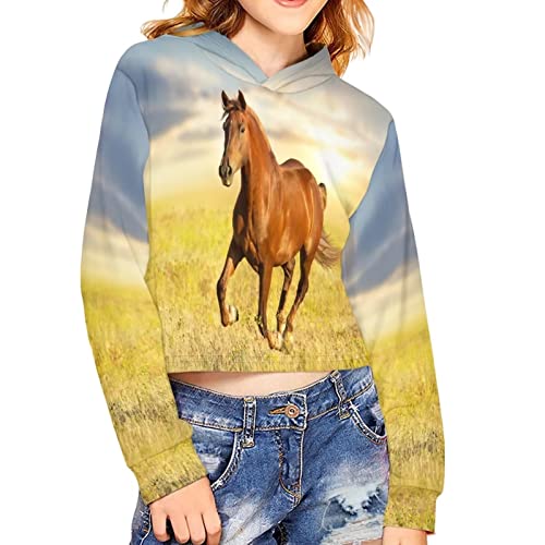 Poceacles Crop-Top für Mädchen, Größe 5–14, Kapuzen-Sweatshirt, Langarm-T-Shirts, Pullover, Tops, Braunes Pferd, 9-10 Years von Poceacles