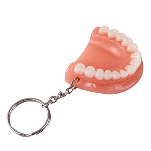 Pocoiau Harz Zahnmodell Form Schlüsselbund Handtasche Anhänger Keyring Clinic Geschenkanhänger Schlüsselbund Für Bag Autoschlüssel Dekore Pocoiau Harz Zahnmodell Form Schlüsselbund Handtasche Anhänger Keyring Clinic Geschenkanhänger Schlüsselbund Für Bag Autoschlüssel Dekore von Pocoiau
