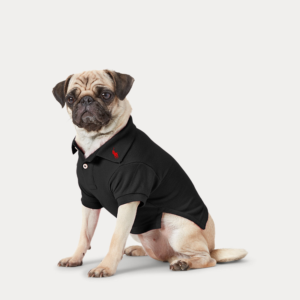 Hunde-Poloshirt aus Baumwollpiqué von Polo Ralph Lauren Home