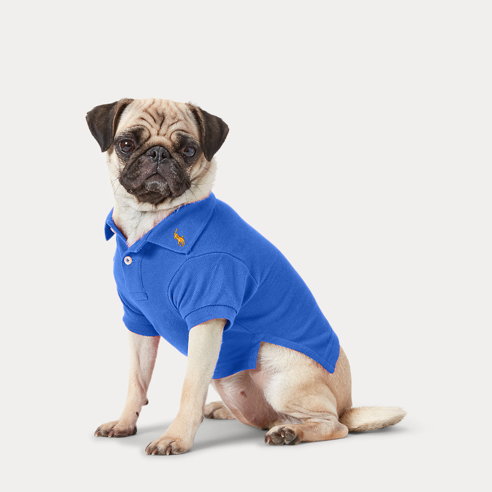 Hunde-Poloshirt aus Baumwollpiqué von Polo Ralph Lauren Home