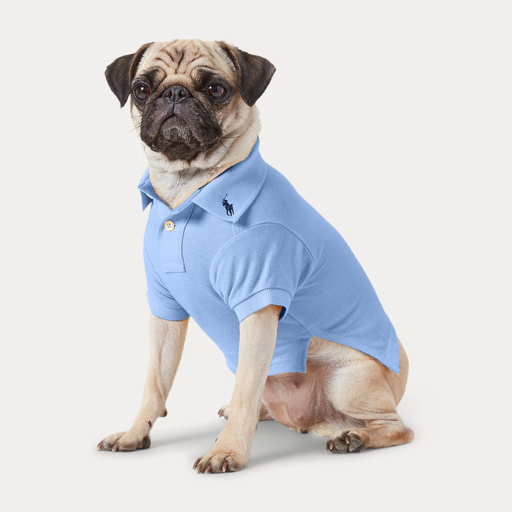 Hunde-Poloshirt aus Baumwollpiqué von Polo Ralph Lauren Home