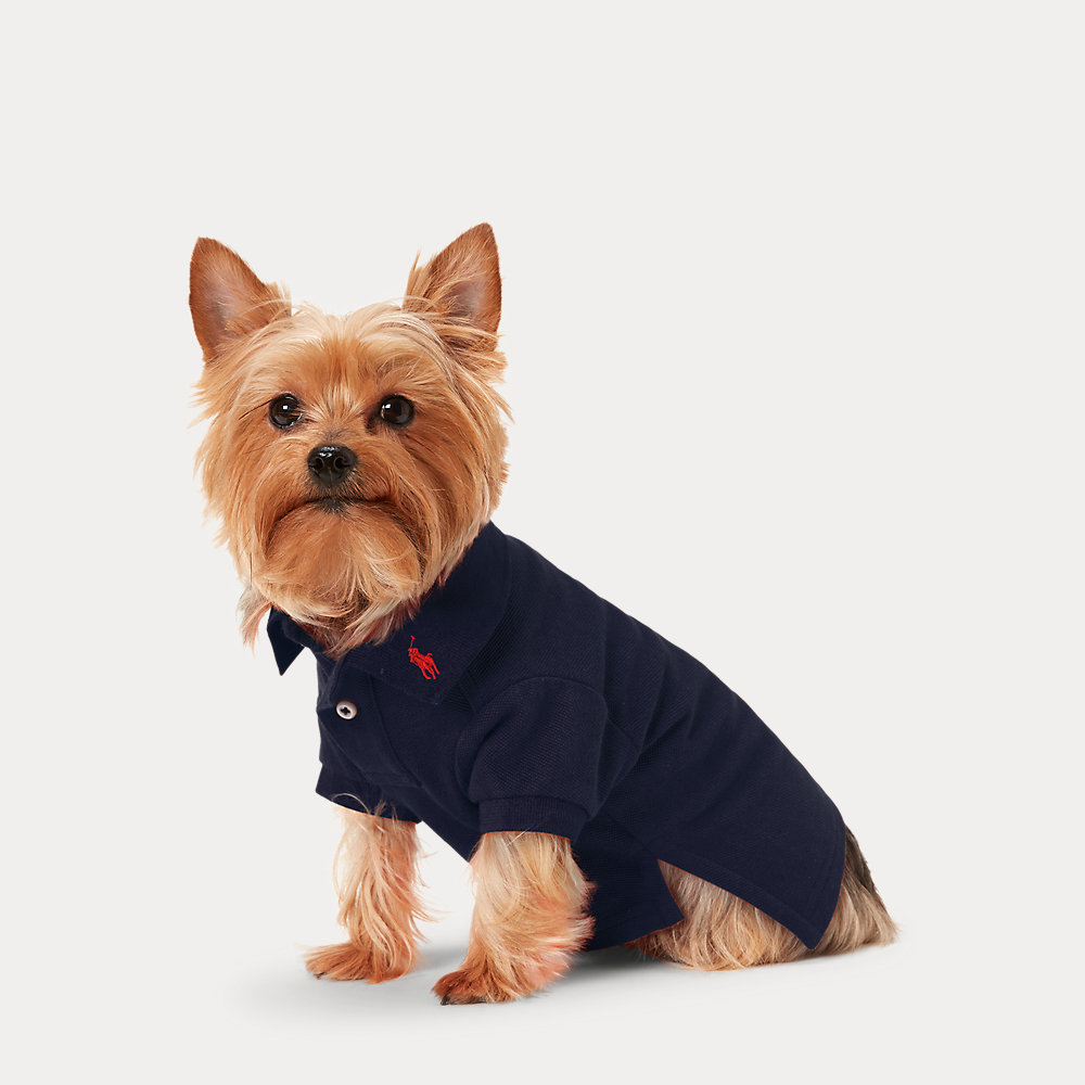 Hunde-Poloshirt aus Baumwollpiqué von Polo Ralph Lauren Home