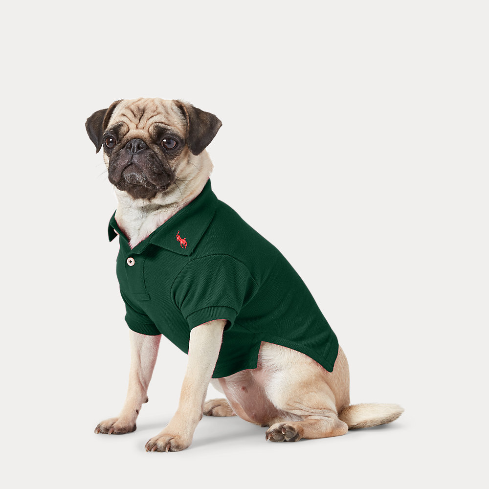 Hunde-Poloshirt aus Baumwollpiqué von Polo Ralph Lauren Home