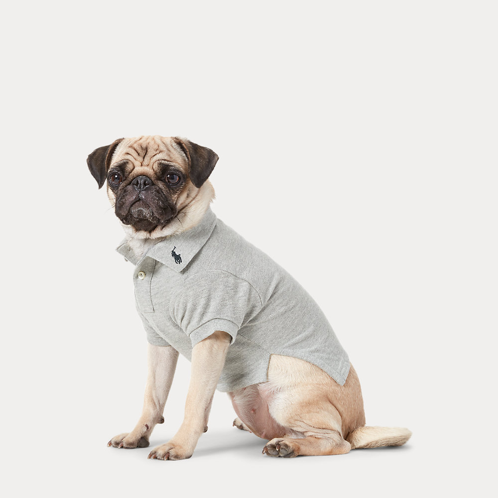 Hunde-Poloshirt aus Baumwollpiqué von Polo Ralph Lauren Home