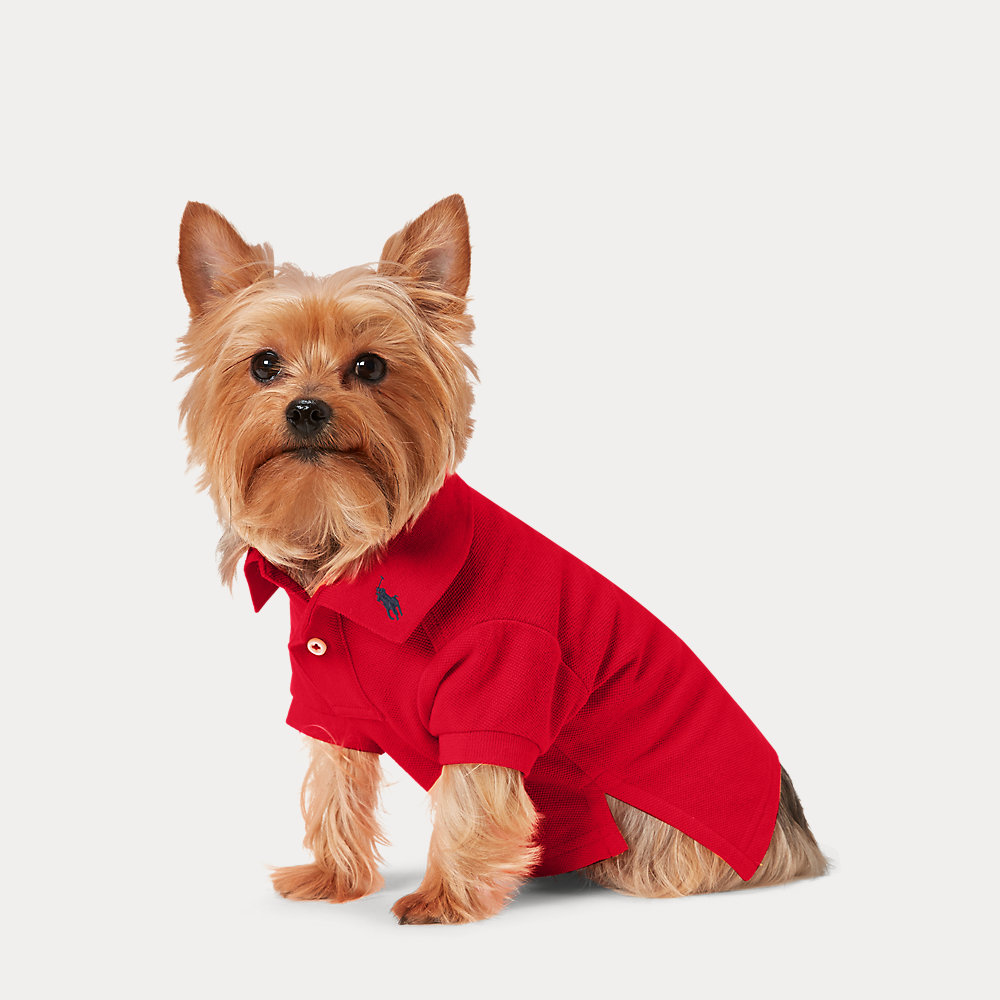 Hunde-Poloshirt aus Baumwollpiqué von Polo Ralph Lauren Home