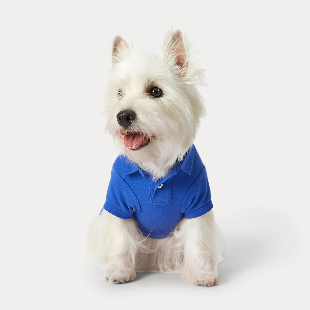 Hunde-Poloshirt aus Piqué mit Polo Bear von Polo Ralph Lauren Home