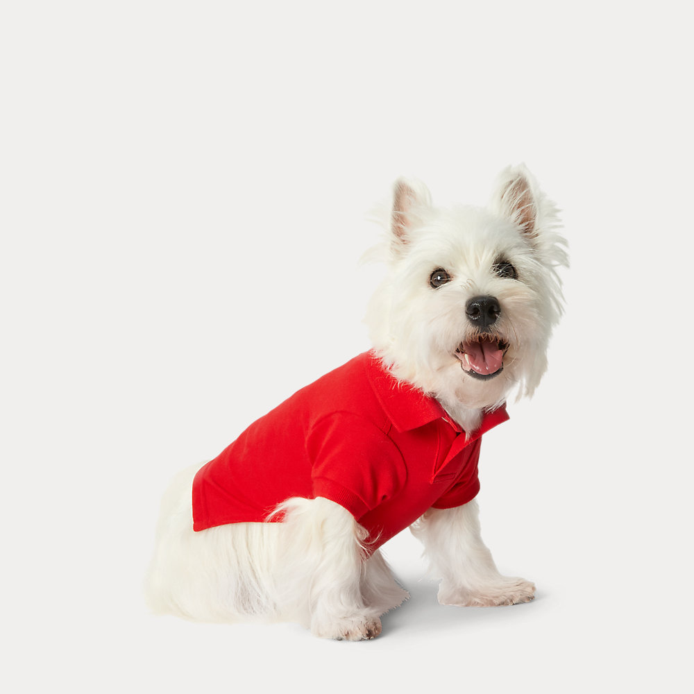 Hunde-Poloshirt aus Piqué mit Polo Bear von Polo Ralph Lauren Home