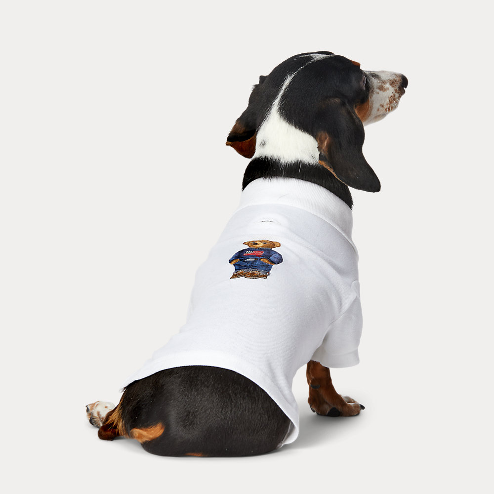 Hunde-Poloshirt aus Piqué mit Polo Bear von Polo Ralph Lauren Home