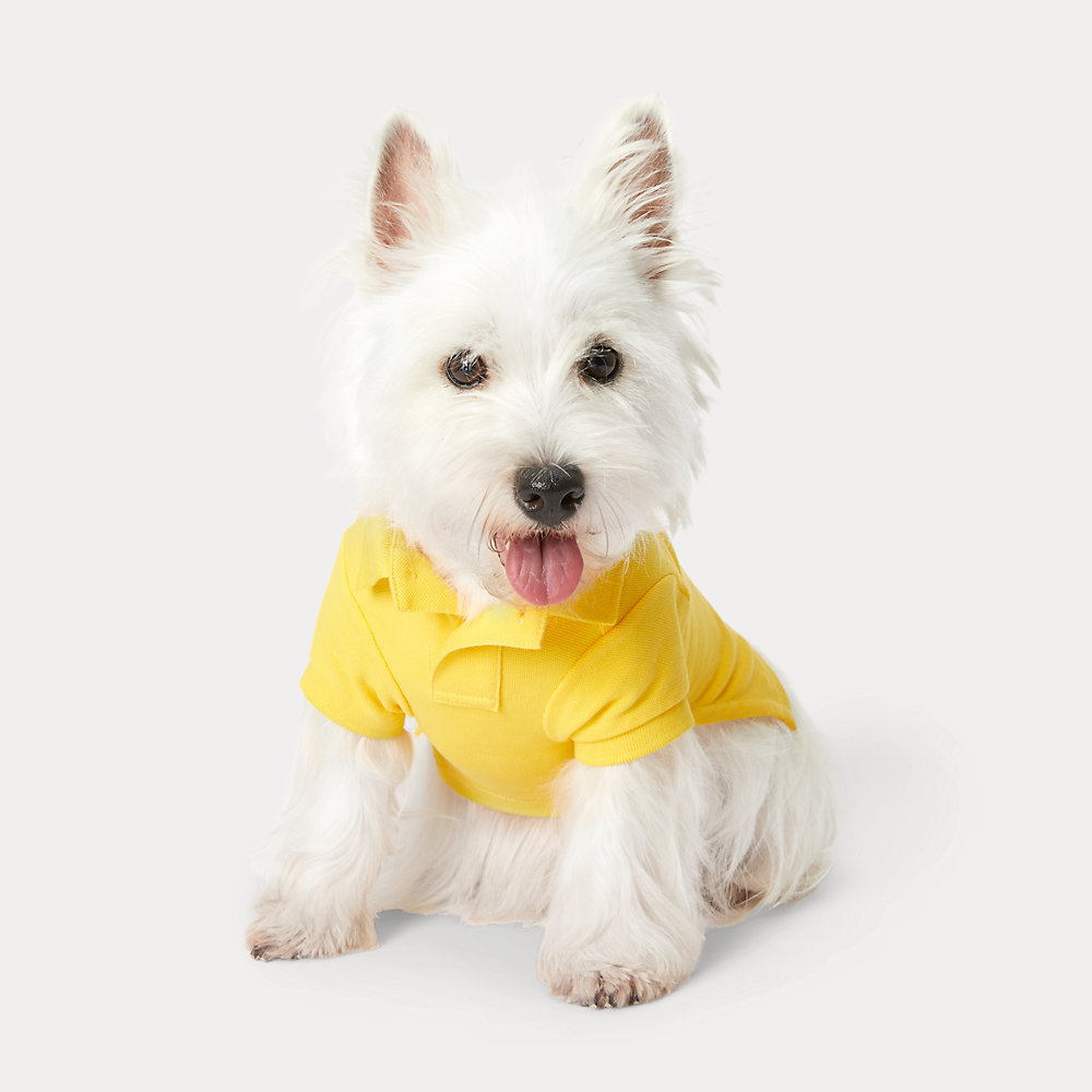 Hunde-Poloshirt aus Piqué mit Polo Bear von Polo Ralph Lauren Home