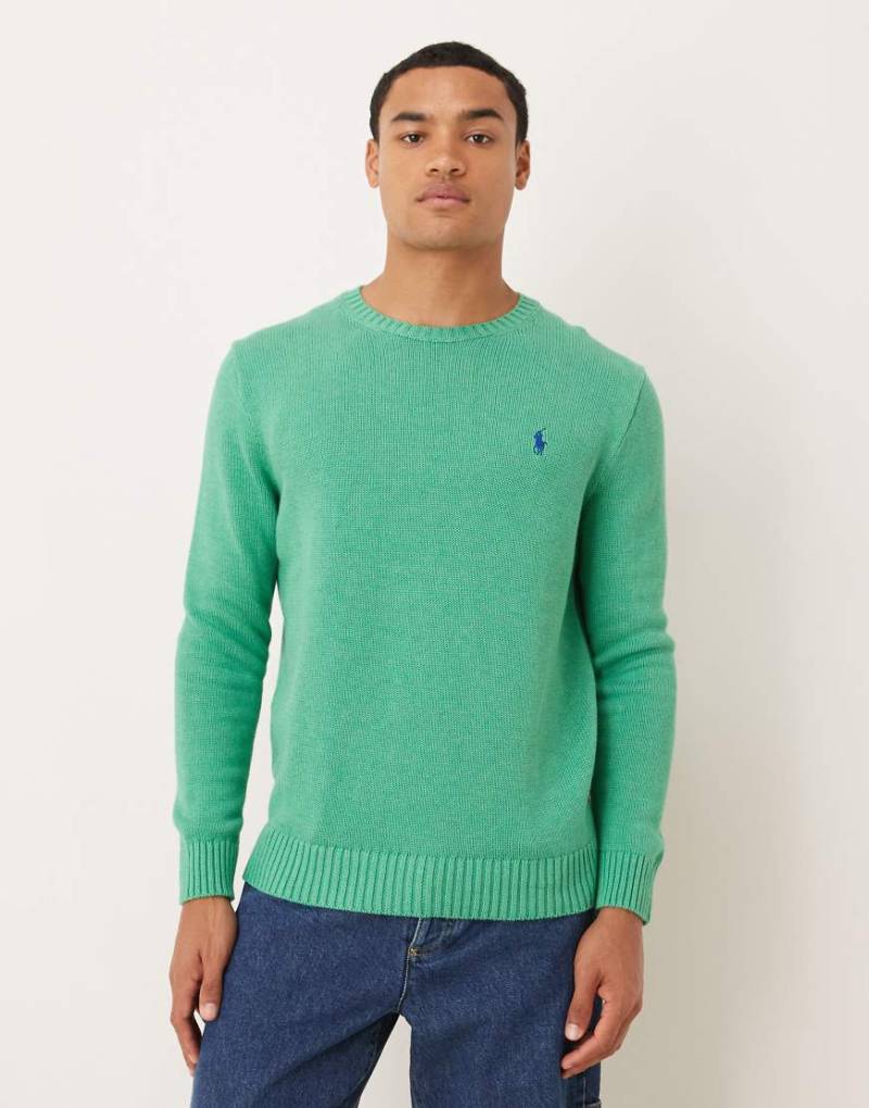 Polo Ralph Lauren - Strickpullover aus schwerer Baumwolle in Palmengrün mit Markenlogo von Polo Ralph Lauren