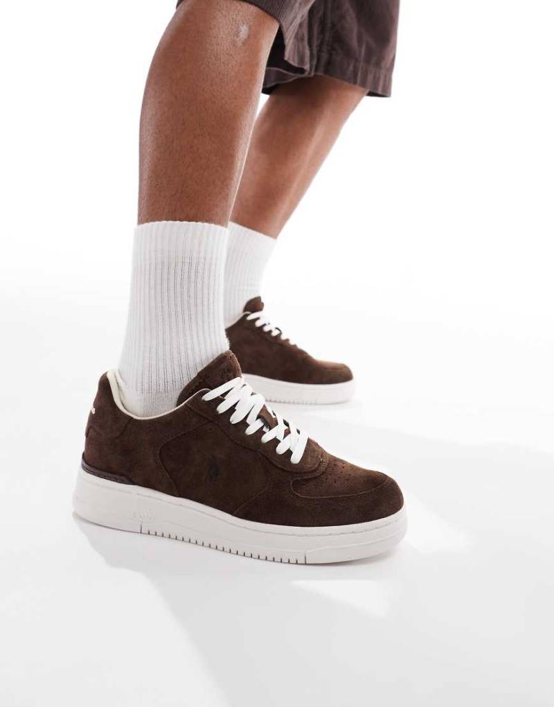 Polo Ralph Lauren - Masters Court - Wildleder-Sneaker in Braun von Polo Ralph Lauren