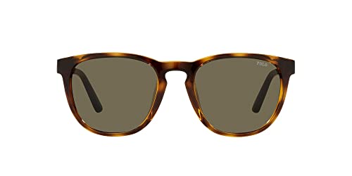 Polo Ralph Lauren PH4182U-5003/3-53 - Herren Sonnenbrille - SHINY HAVANA von Polo Ralph Lauren