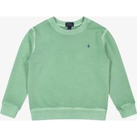 Polo Ralph Lauren  - Sweatshirt | Mädchen (3T) von Polo Ralph Lauren