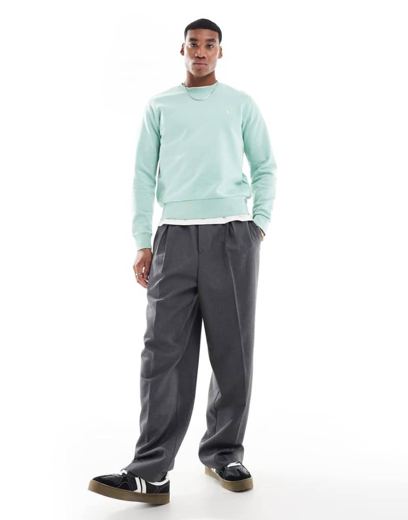 Polo Ralph Lauren - Sweatshirt aus Frottee in Hellgrün mit Markenlogo von Polo Ralph Lauren