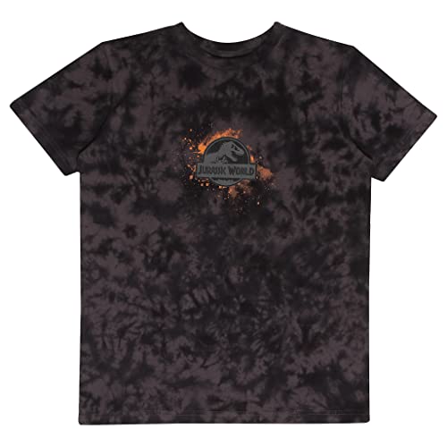 Jurassic World T-Rex Attack T Shirt, Kinder, 116-170, Grey, Offizielle Handelsware von Popgear