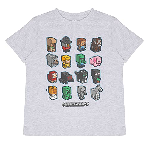 Minecraft Mini Mobs Boys T-Shirt Heather Grey 8-9 Years von Popgear