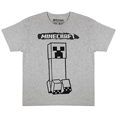 Minecraft Mono-T-Shirt T Shirt, Kinder, 104-182, Heather Grey, Offizielle Handelsware von Popgear