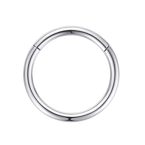 2,0mm 13mm Reifen Nasenringe für Männer und Frauen Nasenring Reifen Silber Septum Clicker Scharnierring 316L Chirurgenstahl Silber Körper Piercing Ohrringe für Knorpel Helix Ohrkolben Daith Rook von Popuhoops