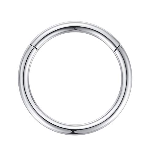 2,5mm 10mm Reifen Nasenringe für Männer und Frauen Nasenring Reifen Silber Septum Clicker Scharnierring 316L Chirurgenstahl Silber Körper Piercing Ohrringe für Knorpel Helix Ohrkolben Daith Rook von Popuhoops