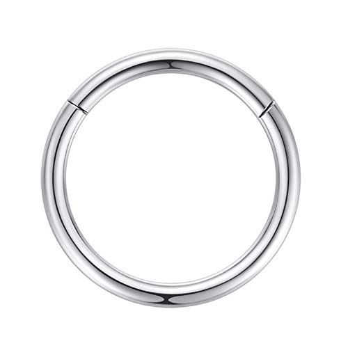 2,5mm 20mm Reifen Nasenringe für Männer und Frauen Nasenring Reifen Silber Septum Clicker Scharnierring 316L Chirurgenstahl Silber Körper Piercing Ohrringe für Knorpel Helix Ohrkolben Daith Rook von Popuhoops