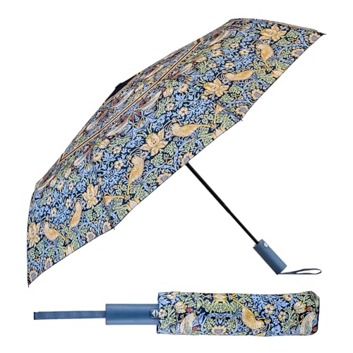 PracticDomus Faltbarer und kompakter Regenschirm für Damen, Design Art Collection mit automatischem Öffnen und Schließen, winddicht, Erdbeer-Dieb, Grande von PracticDomus