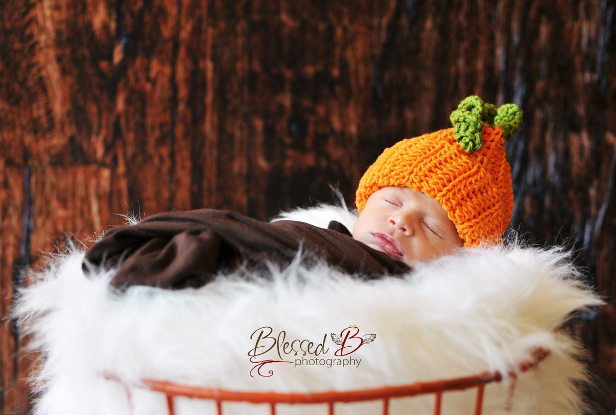 Punkin' Pie Hut Punkin' Pie Hut von PrairieGirlDesignZ